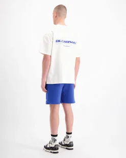 TTD SET | Wit